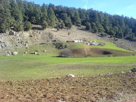 rout om rabi3